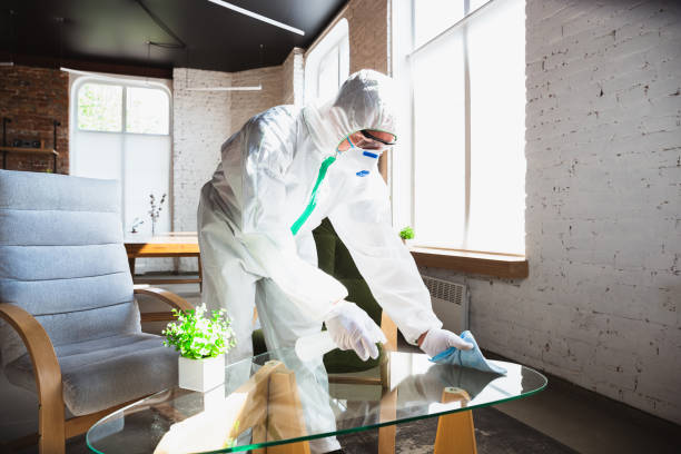 Best Comprehensive Air Testing for Mold Contaminants  in Selbyville, DE